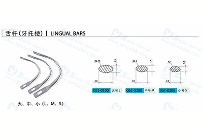  - Lingual Bars