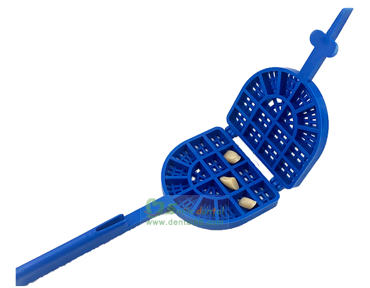 DW08 Denture Tooth Sieve