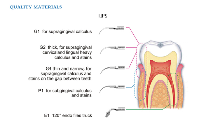 US44 ULTRASONIC SCALER