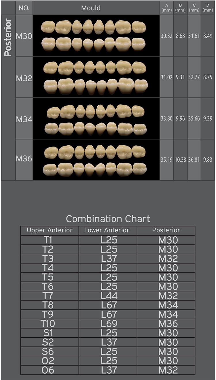 SDT-R102 Three Layer Acrylic Resin Teeth