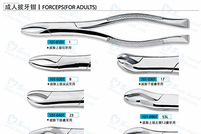  - Extraction Forceps