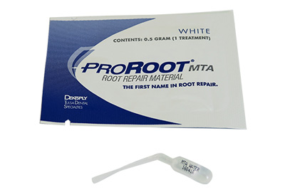  -  ProRoot MTA Root Repair Material, White, Refill