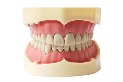 Standard Model, BF Style - TM-A5-01