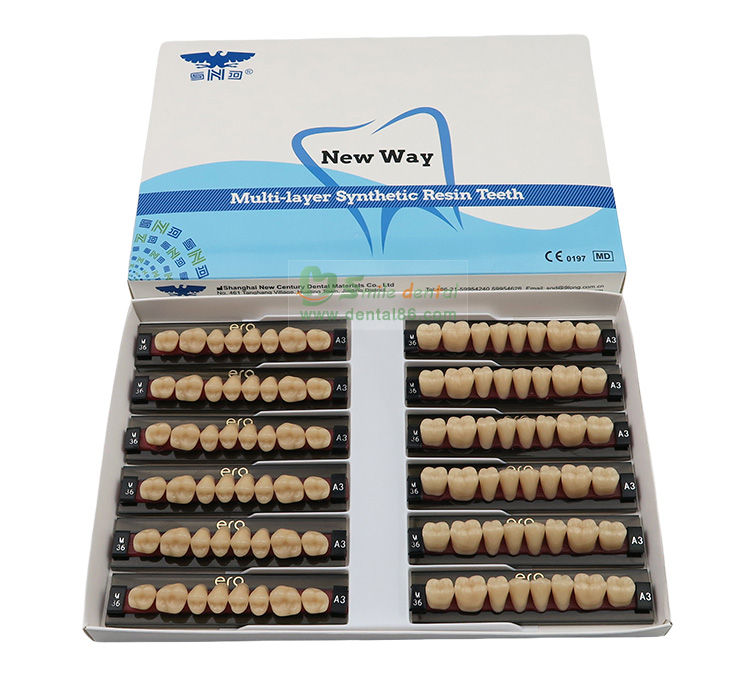 Three Layer Acrylic Resin Teeth