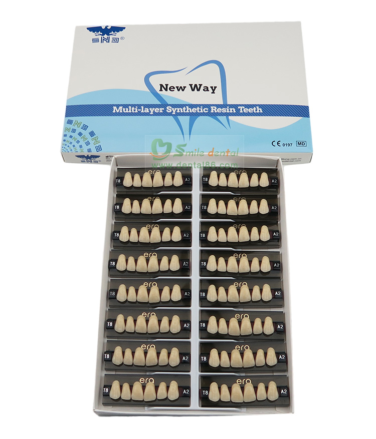 Three Layer Acrylic Resin Teeth
