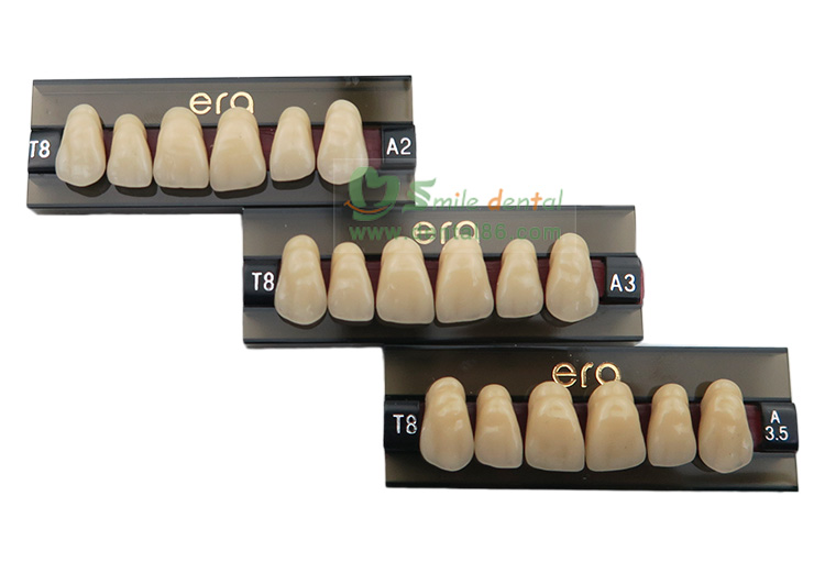 Three Layer Acrylic Resin Teeth