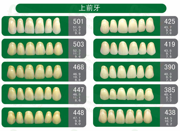 SA21 Acrylic Resin Teeth Three